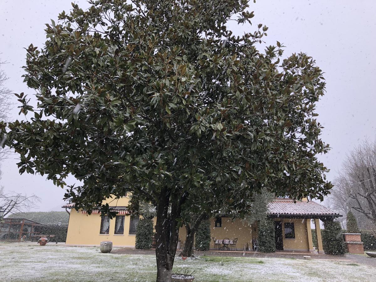 Le Tre Querce B&B Romano D'Ezzelino Luaran gambar